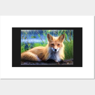 Beautiful Red Fox Portrait From Watercolor Posters and Art